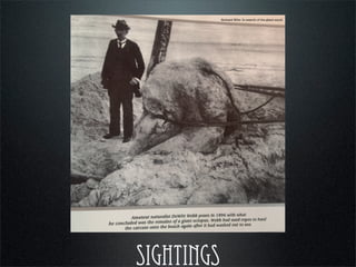 SIGHTINGS
Richard Ellis: In search of the giant squid
 