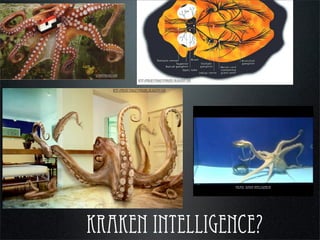 kraken intelligence?
pulpos: suava intelligencia
scienceblogs.com
http://projectfidgetyfingers.blogspot.com
http://projectfidgetyfingers.blogspot.com
 