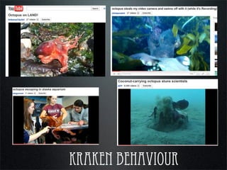 kraken behaviour
andrewgray.com
 