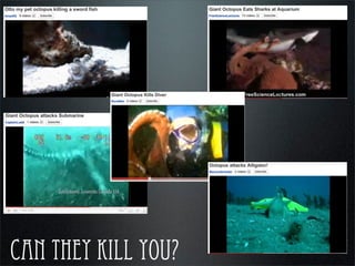 can they kill you?
andrewgray.com
 