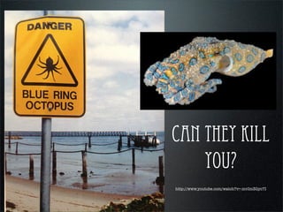 http://www.youtube.com/watch?v=-mvIm3Gyc7I
can they kill
you?
 