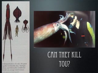 can they kill
you?
 