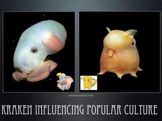 kraken influencing popular culture
adapted from claire nouvian ‘the deep’
 