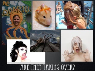 are they taking over?
 