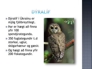  Dýralíf í Úkraínu er
mjög fjölbreytilegt.
 Þar er hægt að finna
yfir 100
spendýrategunda.
 350 fuglategundir t.d
storkar, uglur,
skógarhænur og gæsir.
 Og hægt að finna yfir
200 fiskategundir.
 