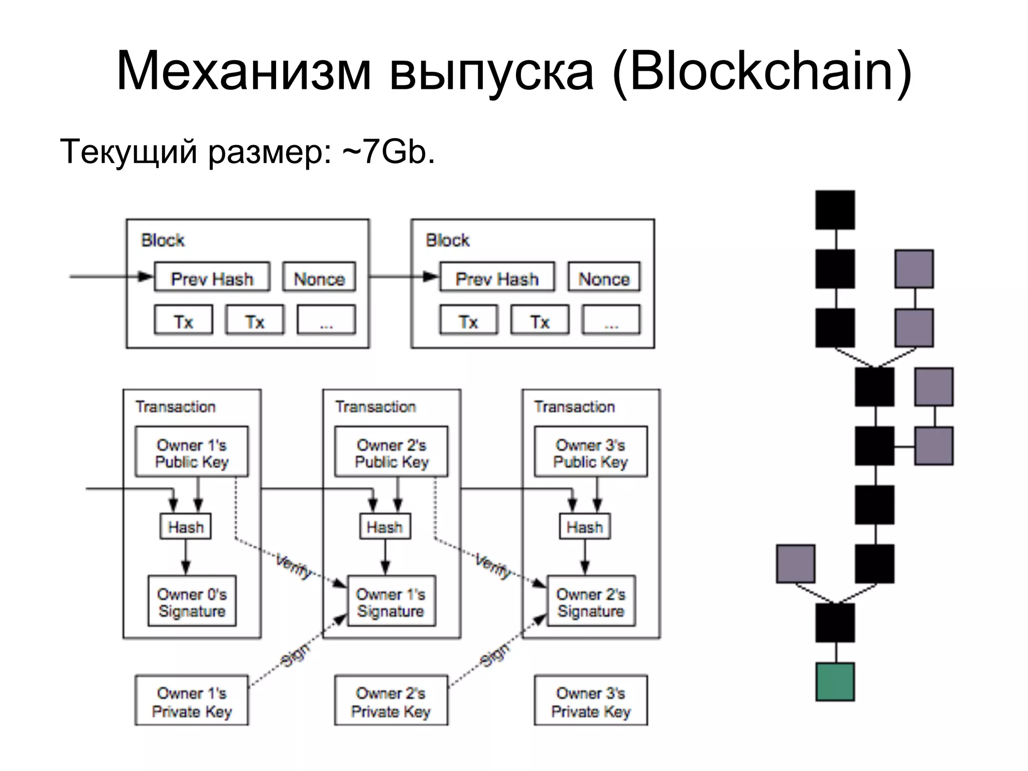 Механизм выпуска (Blockchain)
Текущий размер: ~7Gb.
 