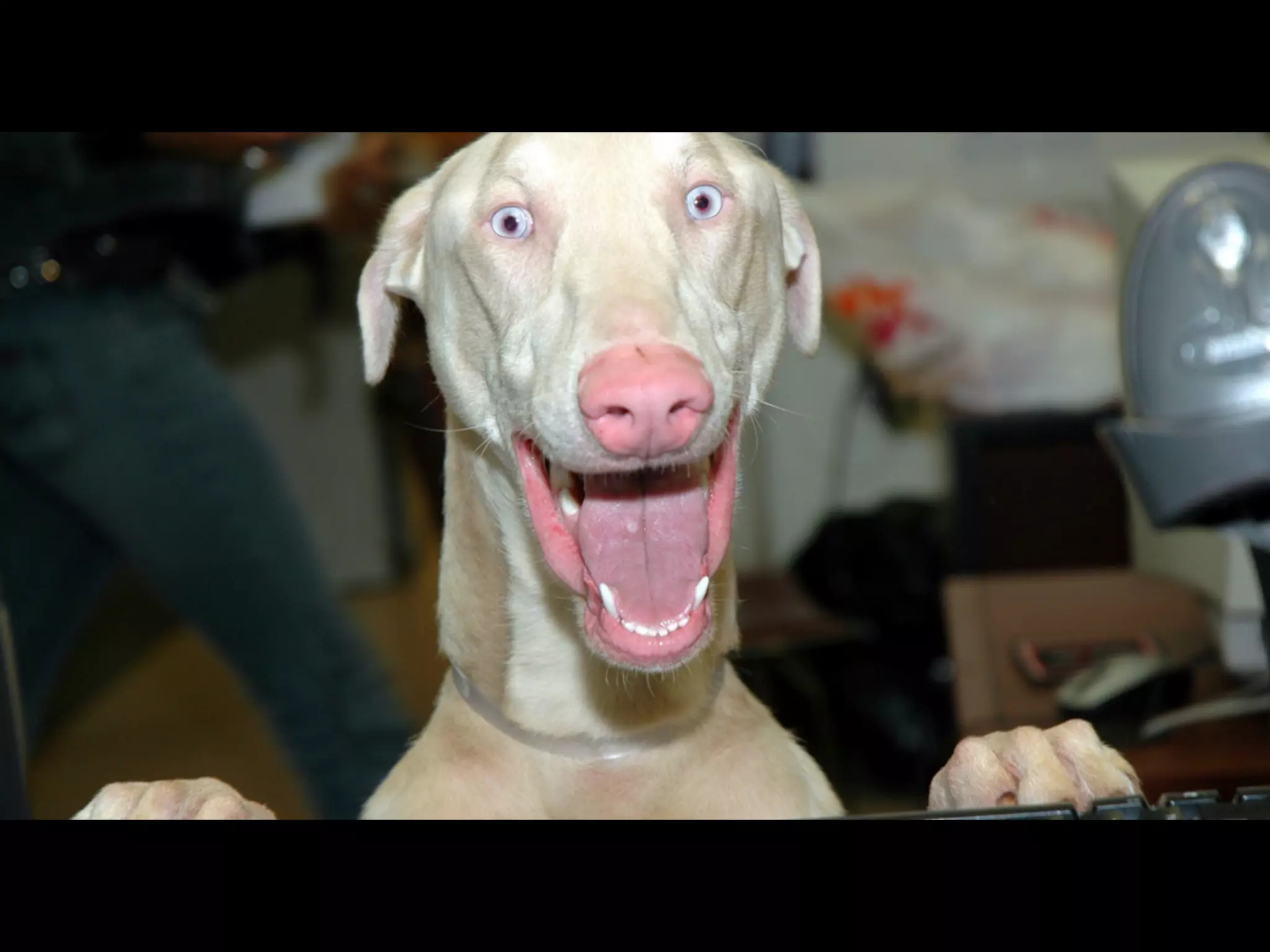 kranonit S12E02 Артур Титов: Юзабилити форм