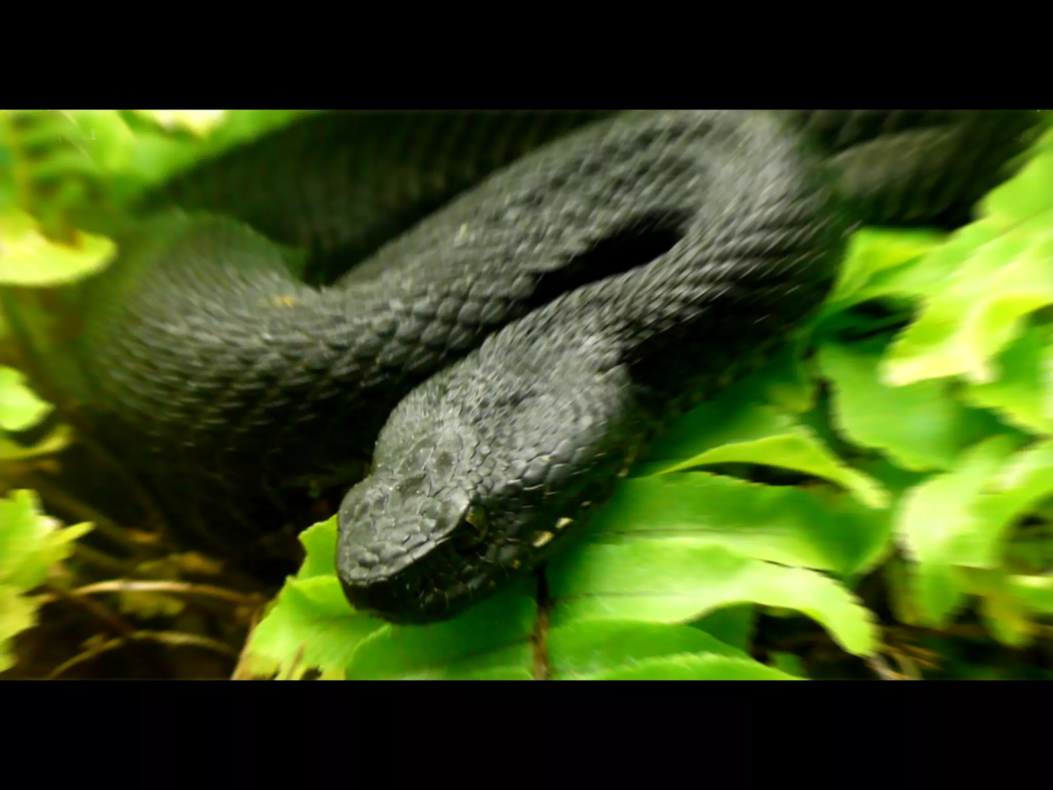 kranonit S12E02 Артур Титов: Юзабилити форм