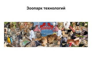 Зоопарк технологий

 