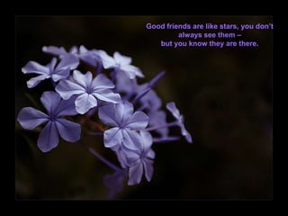Good friends are like stars, you don’t
         always see them –
   but you know they are there.
 