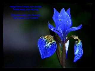 Happiness keeps you sweet,
  Trials keep you strong.

Sorrows keep you Human,
 Life keeps you humble.
 