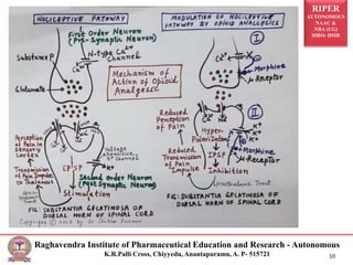 RIPER
AUTONOMOUS
NAAC &
NBA (UG)
SIRO- DSIR
Raghavendra Institute of Pharmaceutical Education and Research - Autonomous
K.R.Palli Cross, Chiyyedu, Anantapuramu, A. P- 515721 10
 