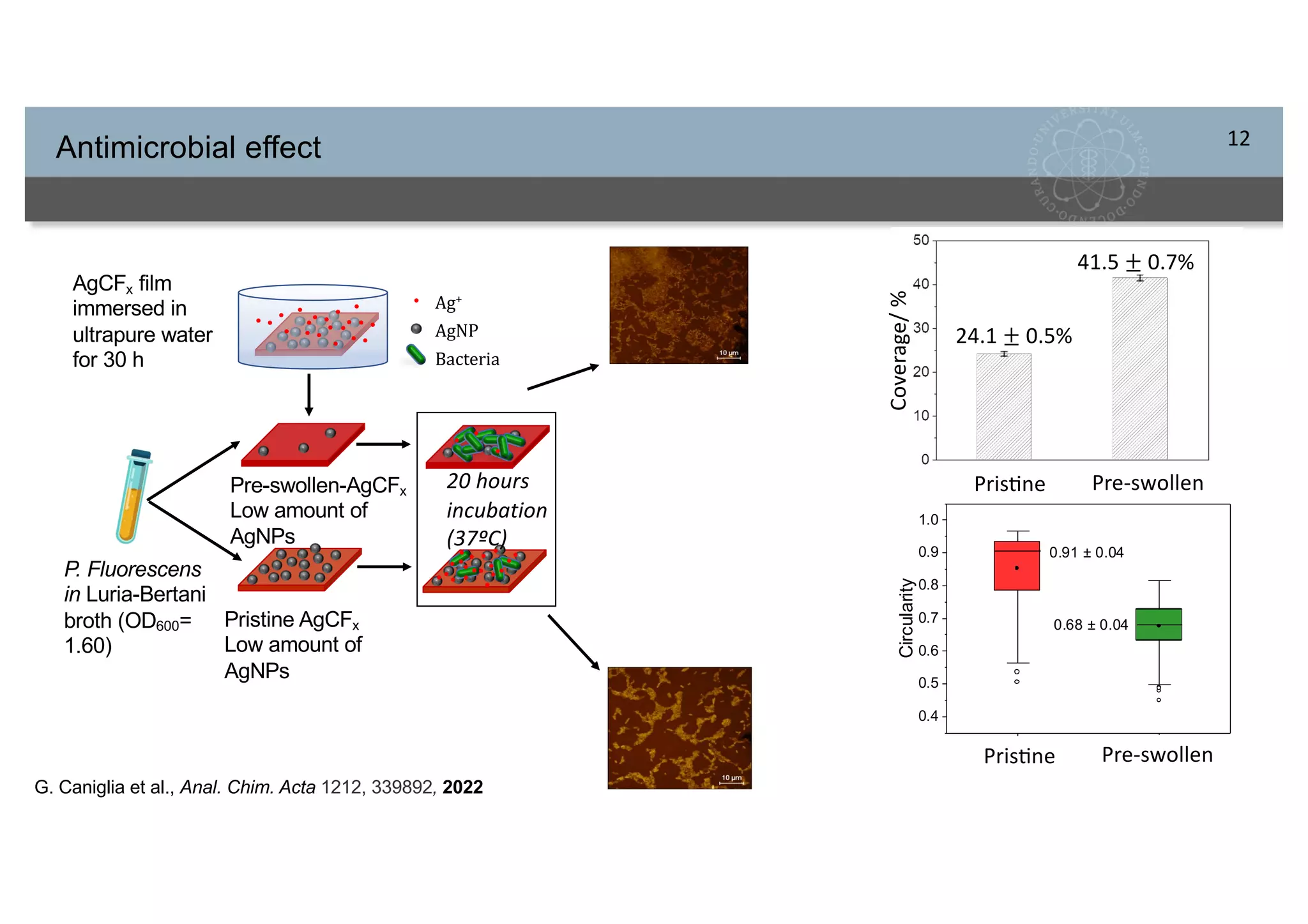 Unraveling interfacial processes by scanning (electrochemical) probe ...