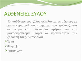 ΑΣΘΕΝΕΙΕΣ ΞΥΛΟΥ
Οι ασθένειες του ξύλου οφείλονται σε μύκητες με
χαρακτηριστικά συμπτώματα, που εμφανίζονται
σε νεαρά και ηλικιωμένα πρέμνα και που
μακροπρόθεσμα μπορεί να προκαλέσουν την
ξήρανσή τους. Αυτές είναι :
Ίσκα
Φώμοψη
Ευτυπίωση
 
