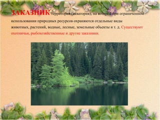 ЗАКАЗНИК территория (акватория), на которой при ограниченном
использовании природных ресурсов охраняются отдельные виды
животных, растений, водные, лесные, земельные объекты и т. д. Существуют
охотничьи, рыбохозяйственные и другие заказники.
 