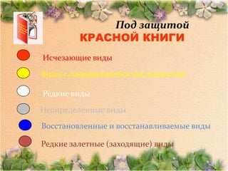 Под защитой
         КРАСНОЙ КНИГИ
Исчезающие виды
Виды с сокращающейся численностью

Редкие виды
Неопределенные виды
Восстановленные и восстанавливаемые виды

Редкие залетные (заходящие) виды
 