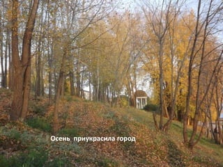 Krasnokamsk | PPT