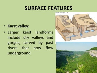 SURFACE FEATURES
• Karst valley:
• Larger karst landforms
include dry valleys and
gorges, carved by past
rivers that now flow
underground
 