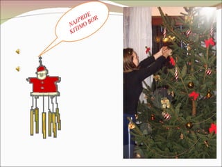 NAJPRIJE  KITIMO BOR 