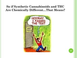 So if Synthetic Cannabinoids and THC
Are Chemically Different…That Means?




                                       27
 
