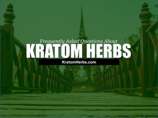 KRATOM HERBS
Frequently Asked Questions About
KratomHerbs.com
 