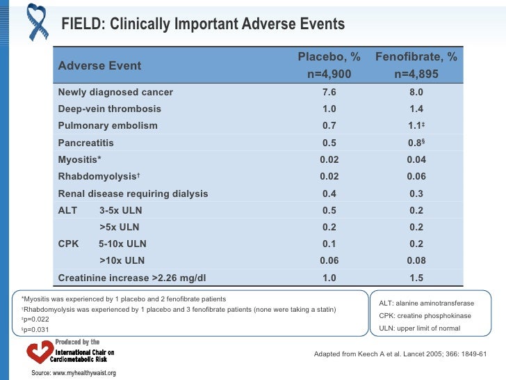 Football manager 2005 patch 5.0 5.0.3 no cd Football manager 2005 patch 5.0 5.0.3 no cd