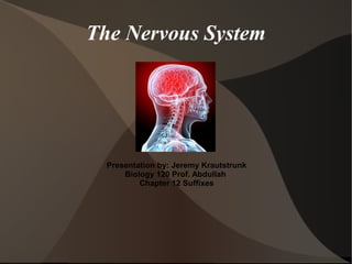 The Nervous System




  Presentation by: Jeremy Krautstrunk
      Biology 120 Prof. Abdullah
          Chapter 12 Suffixes
 