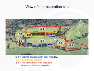 Establishment of semi-natural litter meadows at a Natura 2000 site ...