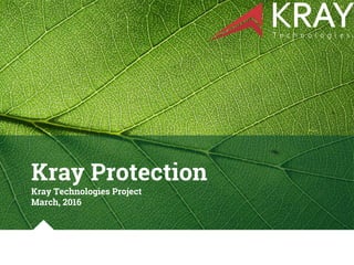 Kray Protection
Kray Technologies Project
March, 2016
 