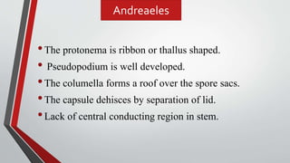 •The protonema is ribbon or thallus shaped.
• Pseudopodium is well developed.
•The columella forms a roof over the spore sacs.
•The capsule dehisces by separation of lid.
•Lack of central conducting region in stem.
Andreaeles
 