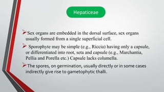 Sex organs are embedded in the dorsal surface, sex organs
usually formed from a single superficial cell.
 Sporophyte may be simple (e.g., Riccia) having only a capsule,
or differentiated into root, seta and capsule (e.g., Marchantia,
Pellia and Porella etc.) Capsule lacks columella.
The spores, on germination, usually directly or in some cases
indirectly give rise to gametophytic thalli.
 
