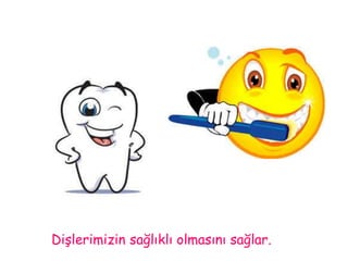 Dişlerimizin sağlıklı olmasını sağlar. 
 