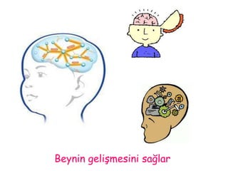 Beynin gelişmesini sağlar 
 