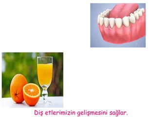 Diş etlerimizin gelişmesini sağlar. 
 