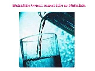 BESİNLERİN FAYDALI OLMASI İÇİN SU GEREKLİDİR. 
 