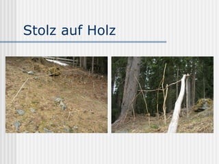 Stolz auf Holz 