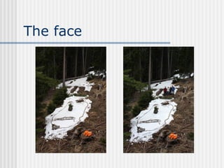 The face 