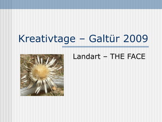 Kreativtage – Galtür 2009 Landart – THE FACE 