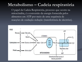 Metabolismo – Cadeia respiratória O papel da Cadeia Respiratória, processo que ocorre na mitocôndria, é a conversão da energia fornecida pelos alimentos em ATP por meio de uma sequência de reacções de oxidação-redução (transferência de electrões). 