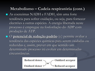 Metabolismo – Cadeia respiratória (cont.) As coenzimas NADH e FADH 2  têm uma forte tendência para sofrer oxidação, ou seja, para fornecer electrões a outras espécies. A energia libertada neste processo é empregue na fosforilação do ADP com produção de ATP. O  potencial de redução padrão  ( ε º ) permite avaliar a tendência das espécies químicas para serem oxidadas ou reduzidas e, assim, prever em que sentido um determinado processo irá evoluir em determinadas circunstâncias. 