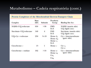 Metabolismo – Cadeia respiratória (cont.) 