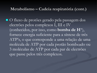 Metabolismo – Cadeia respiratória (cont.) O fluxo de protões gerado pela passagem dos electrões pelos complexos I, III e IV (conhecidos, por isso, como  bomba de H + ), fornece energia suficiente para a síntese de três ATP’s, o que corresponde a uma relação de uma molécula de ATP por cada protão bombeado ou 3 moléculas de ATP por cada par de electrões que passe pelos três complexos. 