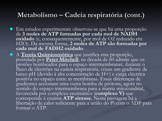 Metabolismo – Cadeia respiratória (cont.) Em estudos experimentais observou-se que há uma proporção de  3 moles de ATP formadas por cada mol de NADH oxidado  (e, consequentemente, por mol de O2 reduzido em H2O). Da mesma forma,  2 moles de ATP são formadas por cada mol de FADH2 oxidado . A  Teoria Quimiosmótica   que justifica esta proporção, postulada por  Peter Mitchell , na década de 60 admite que os protões bombeados para o espaço intermembranar, durante o fluxo de electrões na cadeia respiratória, criam um gradiente de baixo pH (devido à alta concentração de H+) e carga eléctrica positiva no espaço entre as membranas. Essas diferenças de gradientes accionam uma outra bomba de prótons, agora no sentido do espaço intermembrana para a matriz mitocondrial, favorecida por complexo enzimático ( complexo V)  que corresponde à enzima  ATP sintase.  Nesta passagem há a libertação de calor suficiente para a união do Pi com o ADP para formar o ATP. 