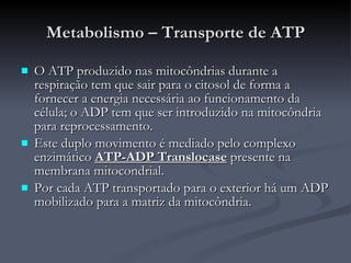 Metabolismo – Transporte de ATP O ATP produzido nas mitocôndrias durante a respiração tem que sair para o citosol de forma a fornecer a energia necessária ao funcionamento da célula; o ADP tem que ser introduzido na mitocôndria para reprocessamento. Este duplo movimento é mediado pelo complexo enzimático  ATP-ADP Translocase  presente na membrana mitocondrial. Por cada ATP transportado para o exterior há um ADP mobilizado para a matriz da mitocôndria. 