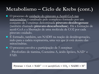 Metabolismo – Ciclo de Krebs (cont.) O processo de  oxidação do piruvato a Acetil-CoA nas mitocôndrias  é catalisado pelo complexo formado por um conjunto de 3 enzimas denominada  piruvato-desidrogenase  (também chamado  piruvato-descarboxilase ). Há a formação de acetil-CoA e a libertação de uma molécula de CO2 por cada piruvato oxidado. É formado, também, um NADH na reação de desidrogenação, indo para a cadeia respiratória, uma vez que já está dentro das mitocôndrias. O processo envolve a participação de 5  coenzimas : - Pirofosfato de tiamina, Coenzima A, ácido lipóico, NAD +  e  FAD. 