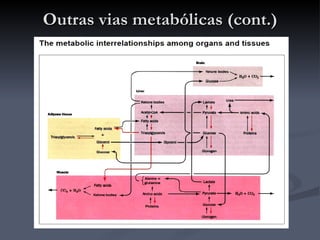 Outras vias metabólicas (cont.) 