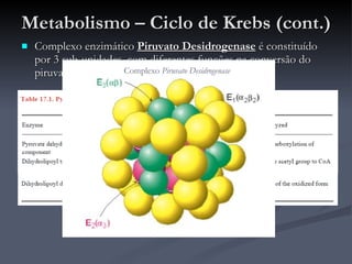 Metabolismo – Ciclo de Krebs (cont.) Complexo enzimático  Piruvato Desidrogenase  é constituído por 3 sub-unidades, com diferentes funções na conversão do piruvato a Acetil-CoA: Complexo  Piruvato Desidrogenase 