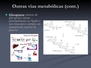 Outras vias metabólicas (cont.) Glicogénese  (síntese de glicogénio) ocorre principalmente no fígado e nos músculos e sempre em situações de excesso de glucose. 