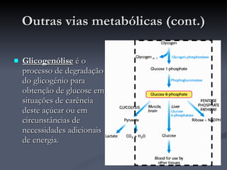 Outras vias metabólicas (cont.) Glicogenólise  é o processo de degradação do glicogénio para obtenção de glucose em situações de carência deste açúcar ou em circunstâncias de necessidades adicionais de energia. 