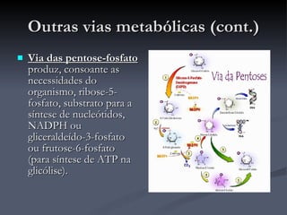 Outras vias metabólicas (cont.) Via das pentose-fosfato  produz, consoante as necessidades do organismo, ribose-5-fosfato, substrato para a síntese de nucleótidos, NADPH ou gliceraldeído-3-fosfato ou frutose-6-fosfato (para síntese de ATP na glicólise). 